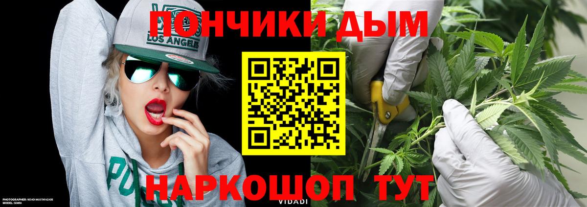 Шишки марихуана план Горно-Алтайск